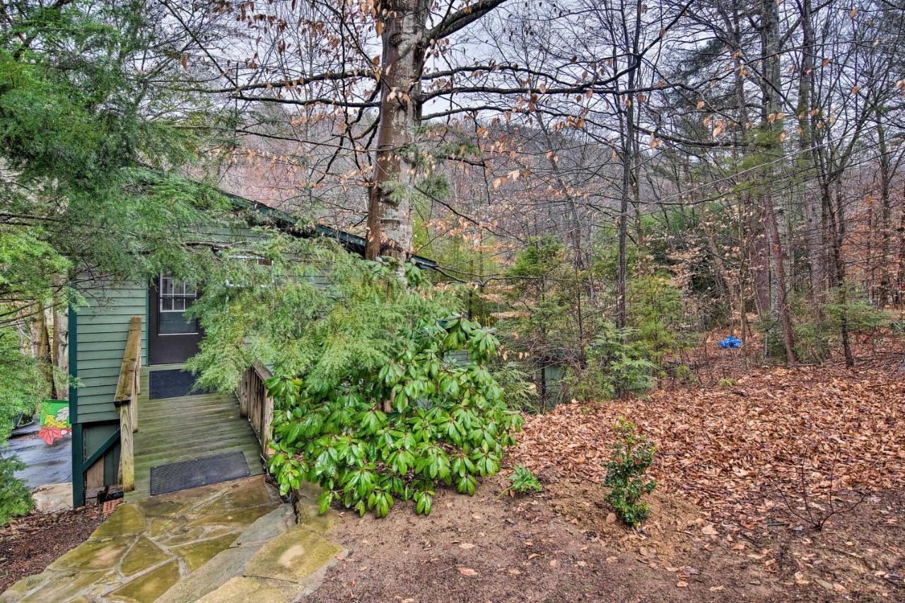 Appalachian Mountain Retreat 6 Mi To Asheville! Buitenkant foto